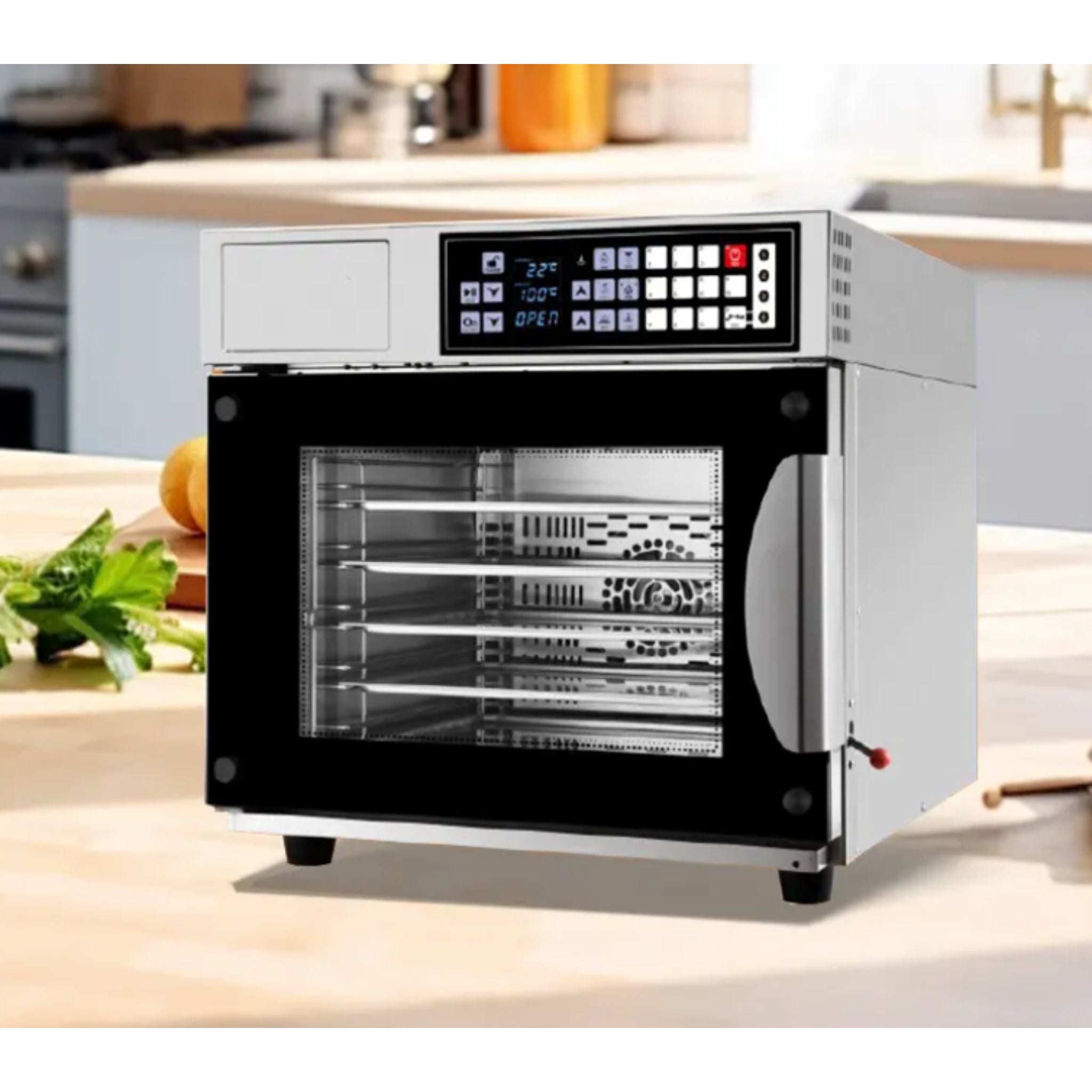 ProSteam Stainless Steel Oven